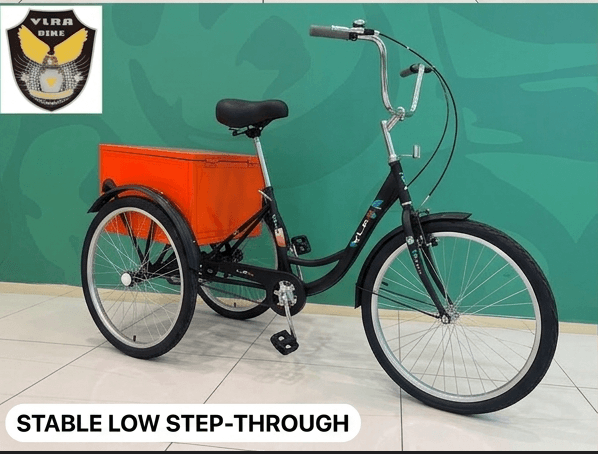 Stable Low Step-Through Frame View